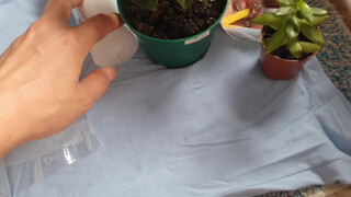 5. Mirror from start