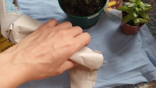 2. Mirror from start