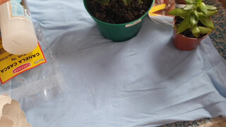 3. Mirror from start