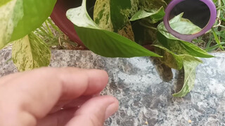 10. Really, every environment is perfect, with plants