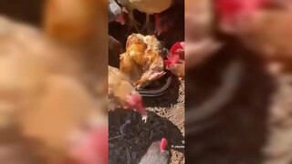 1. Weird Videos At 3am