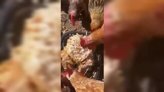 2. Weird Videos At 3am