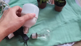 4. pussy in mirror at start #2