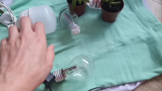 5. pussy in mirror at start #2