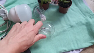 pussy in mirror at start #2