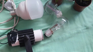 6. pussy in mirror at start #2