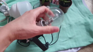 9. pussy in mirror at start #2