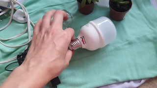 2. pussy in mirror at start #2