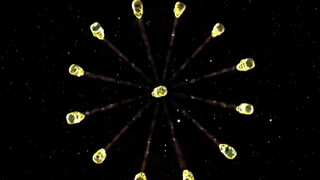 3. Big tribal tits at 4:17 More On Channel