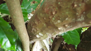 7. 1:09 mirror in the woods
