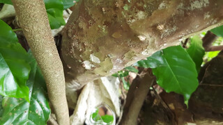 8. 1:09 mirror in the woods