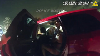 3. BodyCam: Parenting Gone Wrong, Drunk Mom Gets Arrested and Loses Custody of Her Children