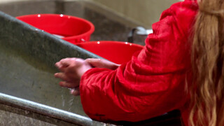 3. Voluptuous performance artist disrobing… again… (3:02)