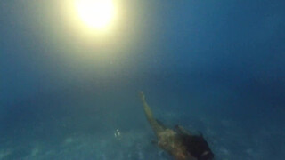 1. Julia, underwater fine nude art, evening shoot. Bali