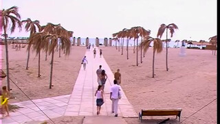 2. Full frontal nudity on a Crimean beach : Казантип 2004 Пляж