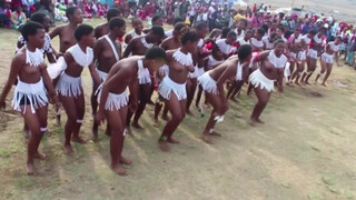 2. ❤❤❤Watch Amatshitshi Traditional dance Bergville (kwazulu natal) Eps 6