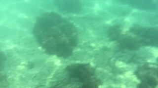playa Nudista Cala Raco del Conill (topless underwater)