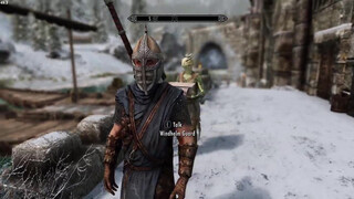 10. Do games count? (modded Skyrim, most of the video)