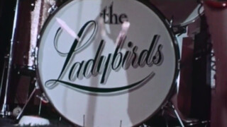 3. 50 years before the Soapgirls there were.... the ladybirds (1968)