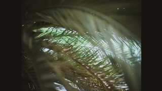 5. MOGUAI - Pray For Rain (Official Video) [Explicit Version]