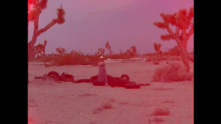 6. Nina Hartley Poem Portrait of, In the Desert