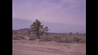 1. Nina Hartley Poem Portrait of, In the Desert