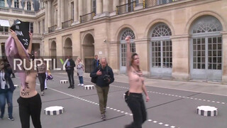 Topless FEMEN activists protest violence against women in Paris