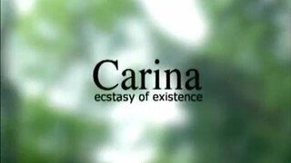 1. A story of Carina