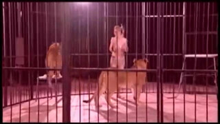 3. lion tamer