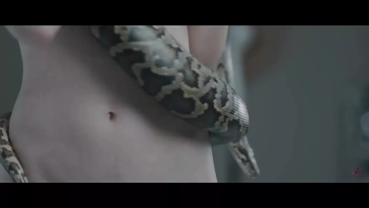 Snakes and spiders | Nude Video on YouTube | nudeleted.com