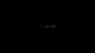 1. ORCHIDEE