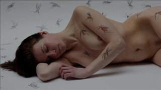 2. Art video: Body Painting Mosquito massacre by Amit Bar