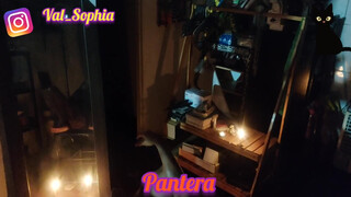 1. Pantera, Halloween edition – dildo in pussy – mirror