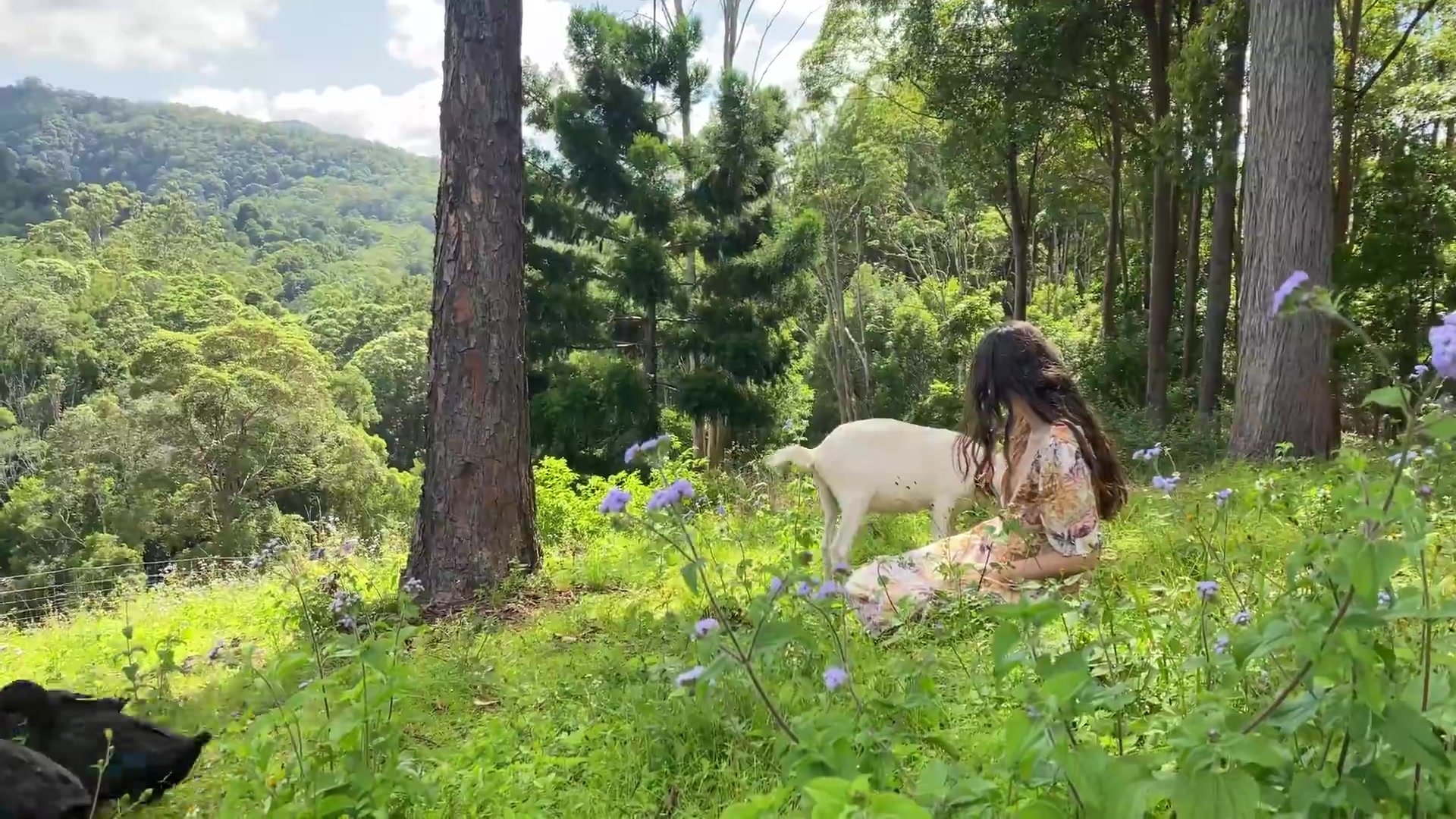 Mother the mountain farm onlyfans